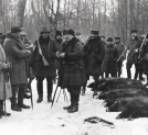 Polowanie z udziałem prezydenta RP Ignacego Mościckiego w ordynacji księcia Karola Mikołaja Radziwiłła w styczniu 1931 roku.  (6)