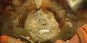 Mumia w krypcie Jeremiego Wiśniowieckiego na Świętym Krzyżu.