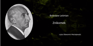 "Znikomek" Bolesława Leśmiana.