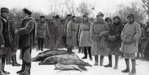 Polowanie na dziki w ordynacji księcia Karola Mikołaja Radziwiłła  w Nieświeżu w styczniu 1936 roku.