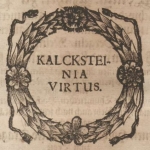  Albrecht Kalkstein (Kalckstein) h. Koss  