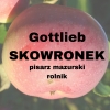 Gottlieb (Bogumił) Skowronek